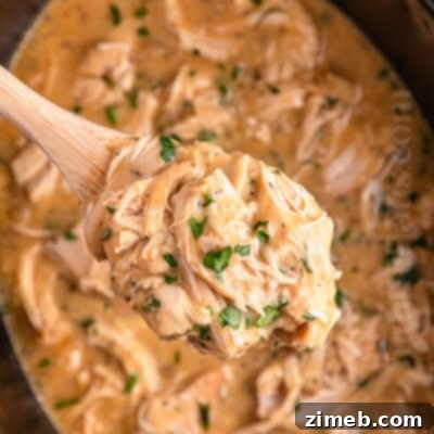 Chicken and Gravy in the Crockpot