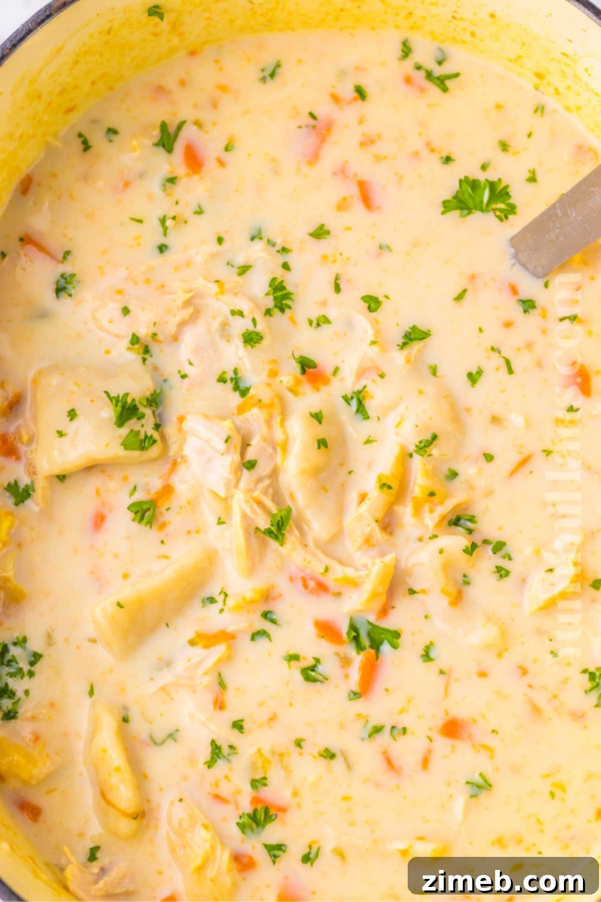 Chicken and Dumplings Soup recipe