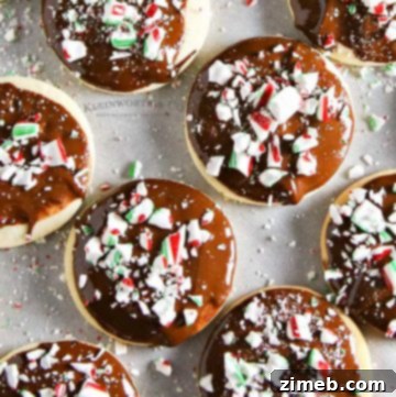 Sunshine Lemon Shortbread 12 holiday shortbread cookies