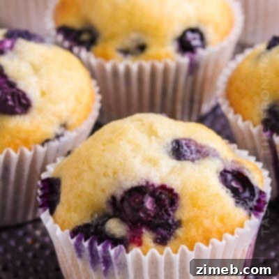 Luscious Blueberry Cinnamon Swirls 9 Delicious and moist Blueberry Muffins, an easy breakfast recipe.