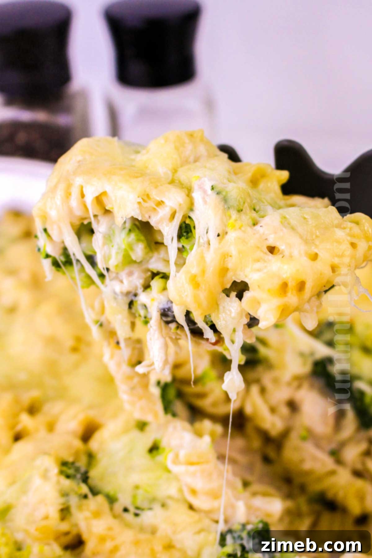 Creamy Chicken and Broccoli Alfredo Bake 8 Ready to serve Chicken Broccoli Alfredo Bake recipe