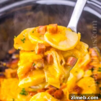 Slow Cooker Scalloped Ham and Potatoes 16 Scalloped Ham and Potatoes