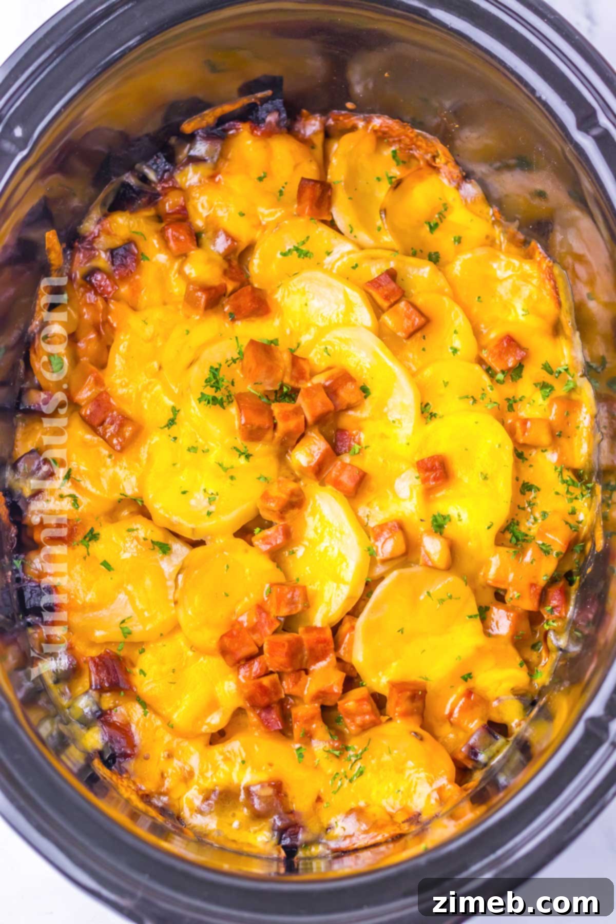 Slow Cooker Scalloped Ham and Potatoes 7 Perfectly cooked Scalloped Ham and Potatoes in slow cooker