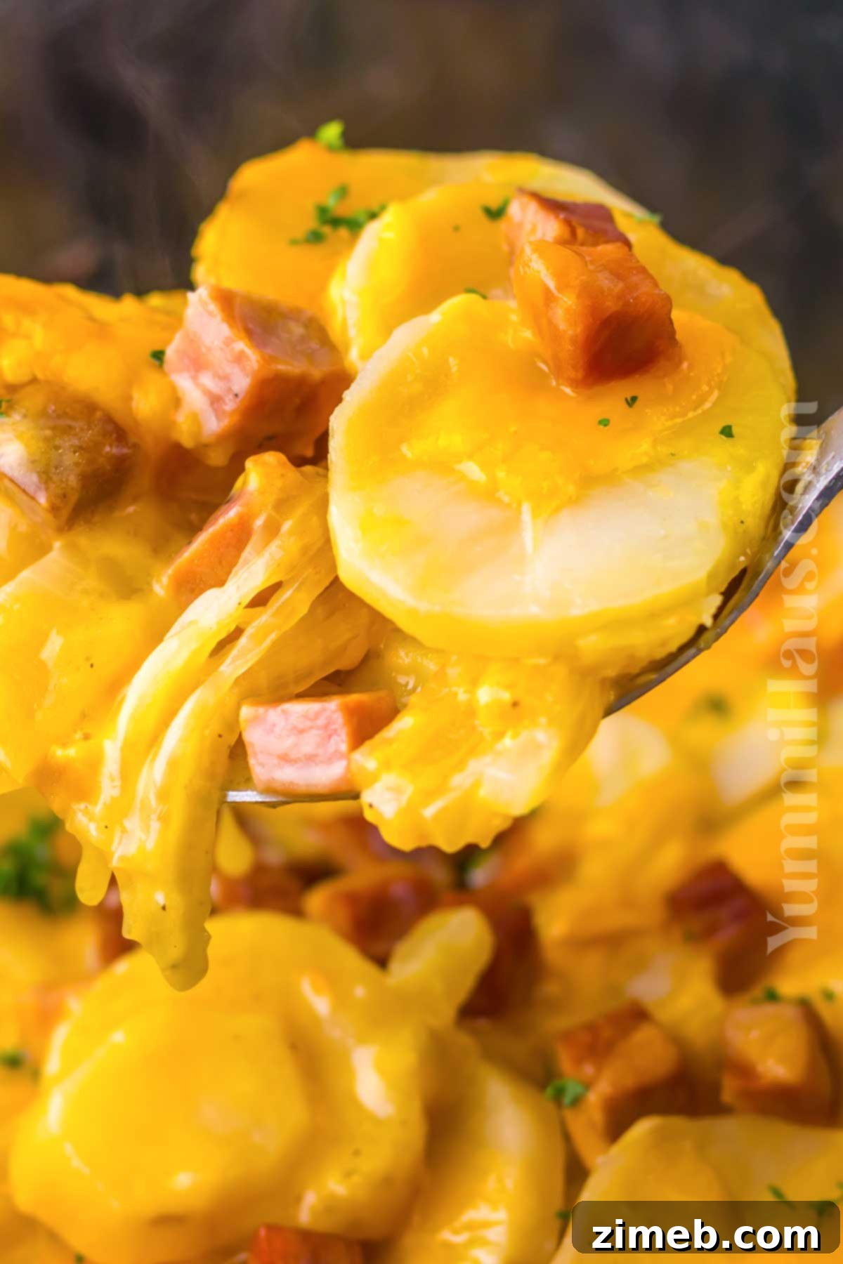 Slow Cooker Scalloped Ham and Potatoes 8 Scalloped Ham and Potatoes Recipe Overview