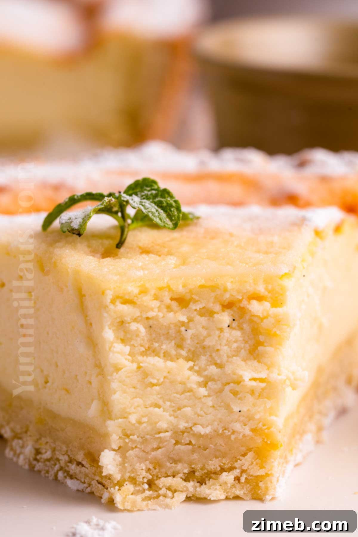 Ricotta Pie