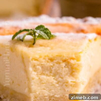 Ricotta Pie