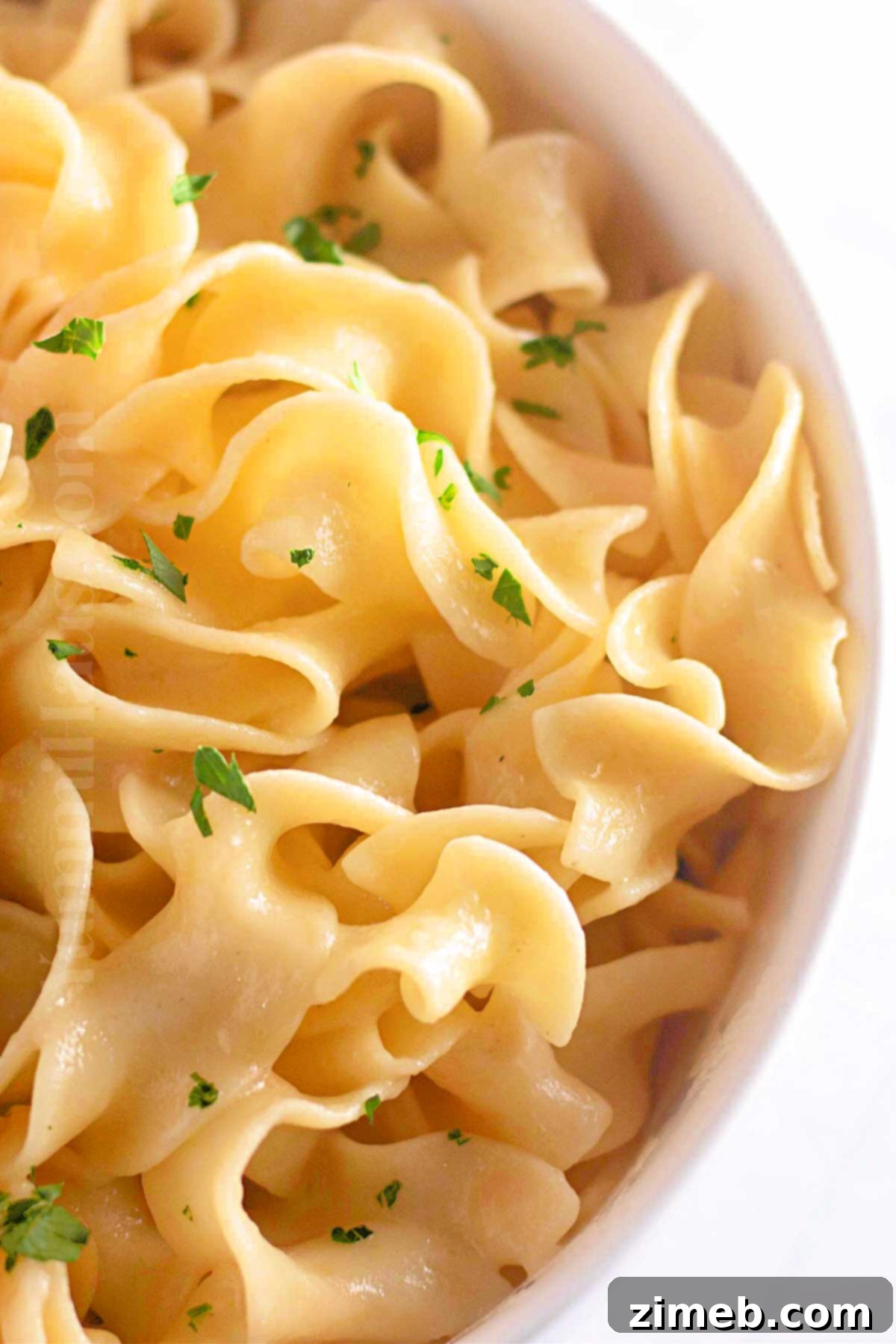 Butter Kissed Pasta 15 egg noodles with cheese and seasonings