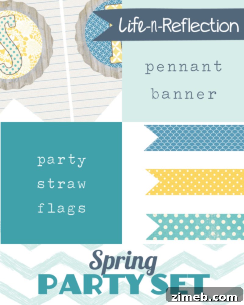 Life n Reflection Spring Party Set preview