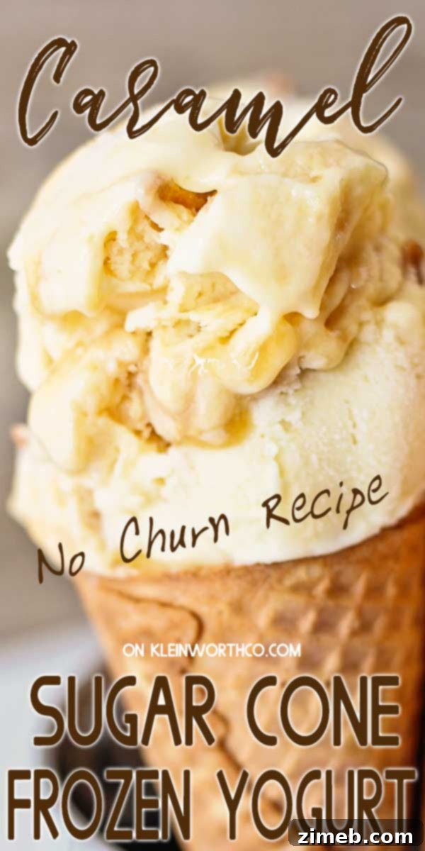 Caramel Crunch Froyo Cone 2 Caramel Sugar Cone Frozen Yogurt - A creamy, no-churn dessert swirled with rich caramel and crunchy sugar cone pieces.