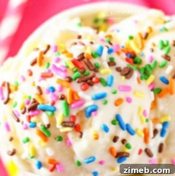 Birthday Cake Batter Gelato - Creamy gelato bursting with sprinkles and a delightful cake batter flavor.