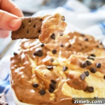 Peanut Butter Brownie Dip - A decadent dessert dip featuring luscious peanut butter and rich brownie swirls, topped with chocolate chips.