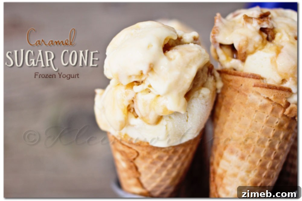 Caramel Sugar Cone Frozen Yogurt Caramel Sugar Cone Frozen Treat in a bowl, showing its irresistible layers and rich texture.