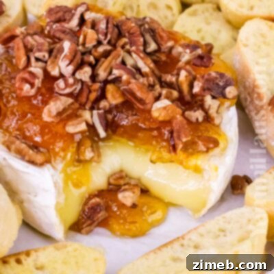Fiesta Taco Dip 9 Delicious Baked Brie and Preserves