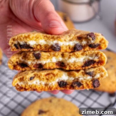 Cheesecake Cookie Fusion 16 Cheesecake Cookies