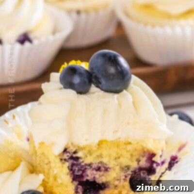 Lemon Blueberry Cupcakes