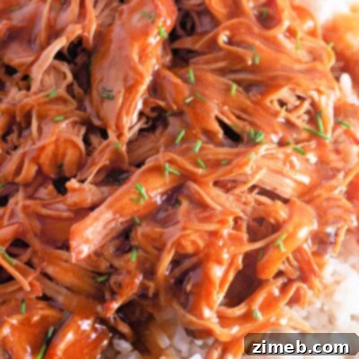 Caramelized Honey Garlic Chicken 16 Garlic Honey Chicken