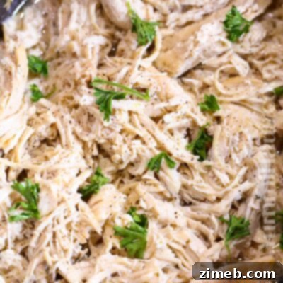 Easy Slow Cooker Birria Tacos 14 Slow Cooker Shredded Chicken