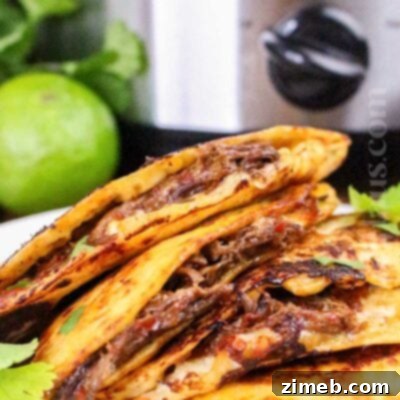 Easy Slow Cooker Birria Tacos 16 Slow Cooker Birria Tacos