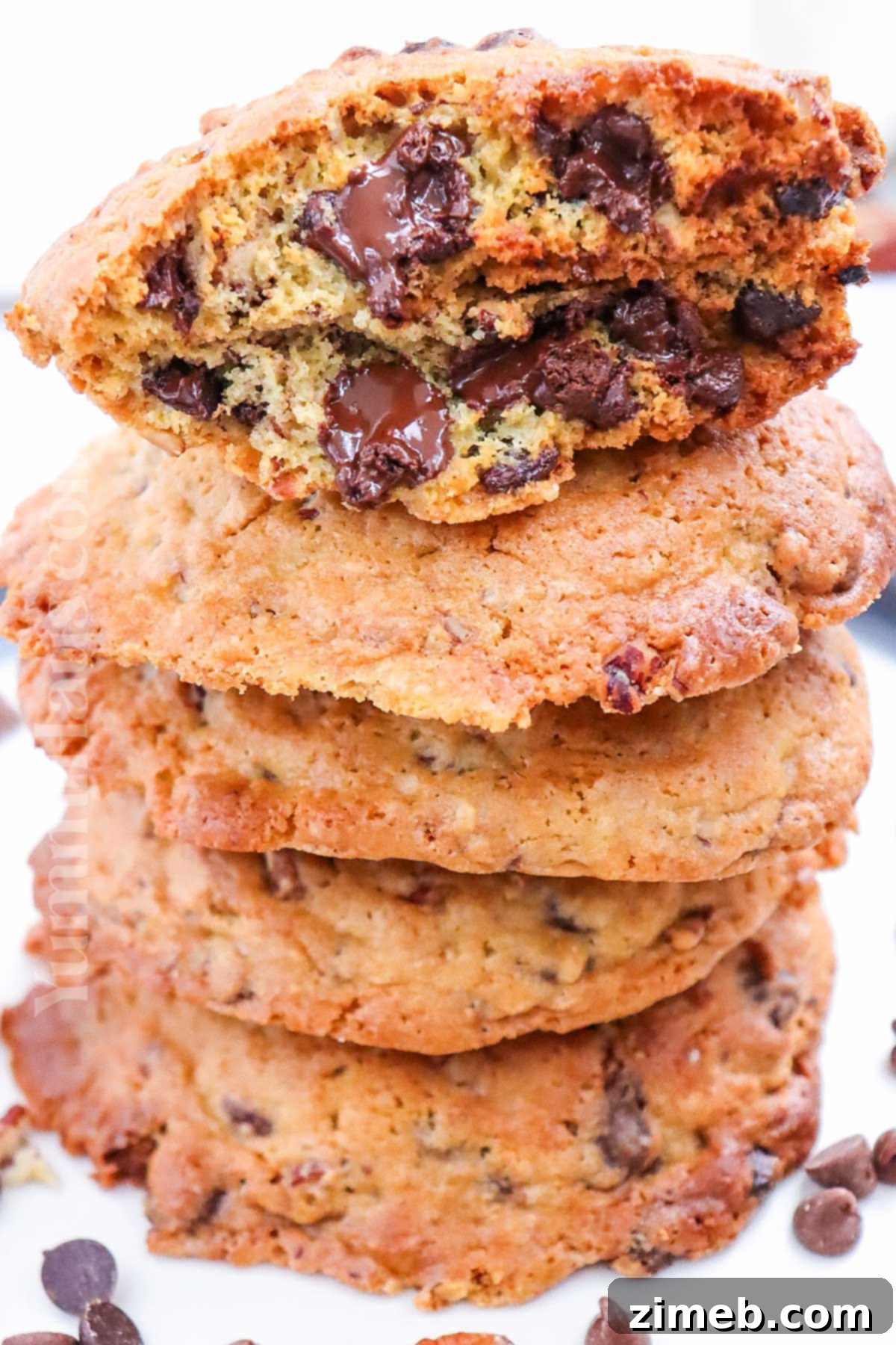 Levain's Giant Gooey Cookies 15 Levain Bakery Cookie recipe