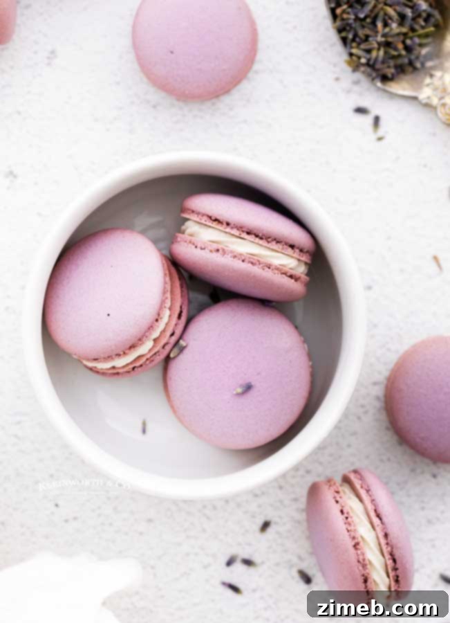 Delicate Lavender Macarons, a beautiful French dessert with floral notes.