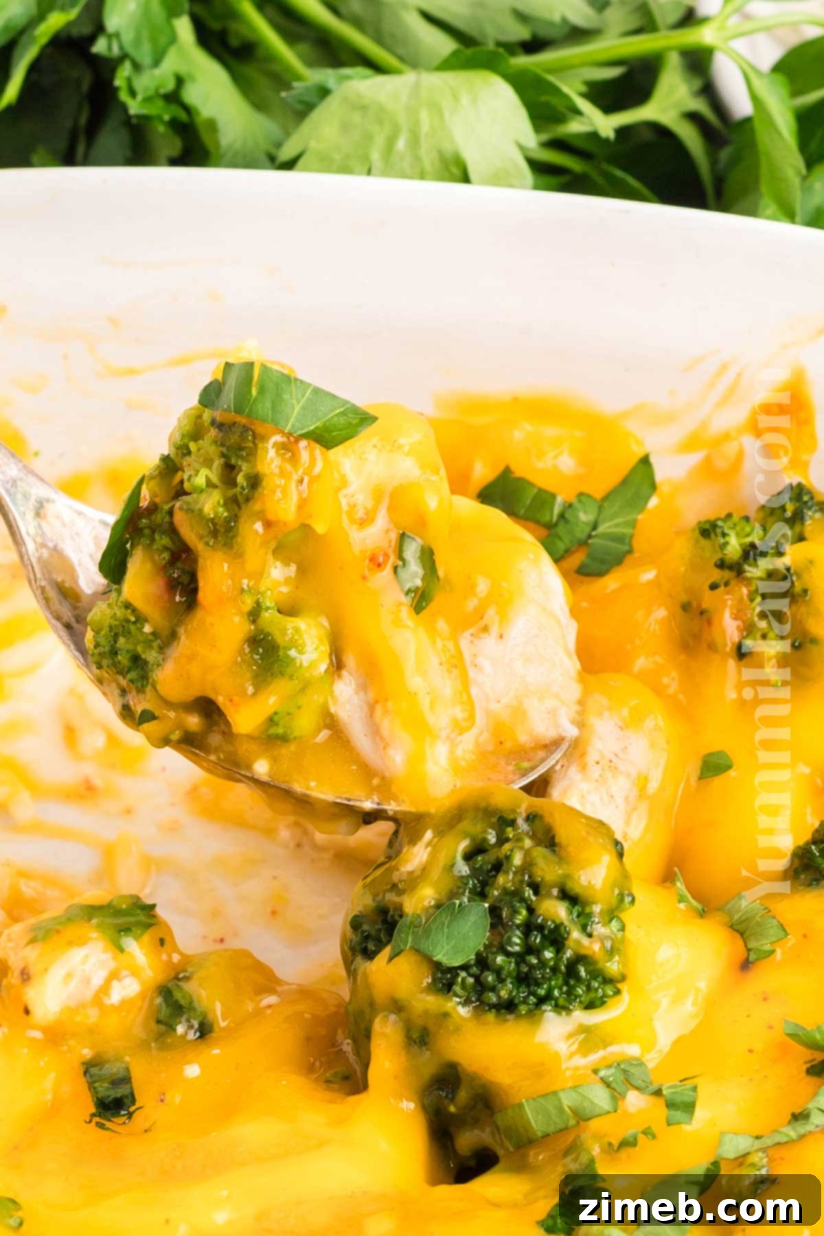 Hearty Baked Broccoli and Chicken Casserole