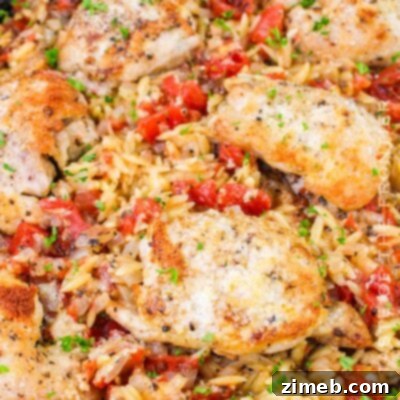 Baked Chicken and Orzo