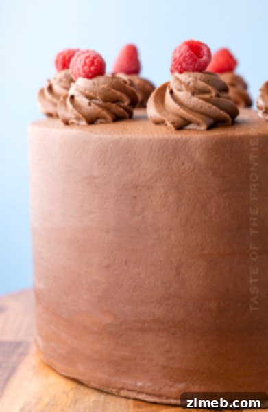 22 Stunning Mother's Day Cake Designs 4 Elegant Chocolate Raspberry Cake with fresh berries