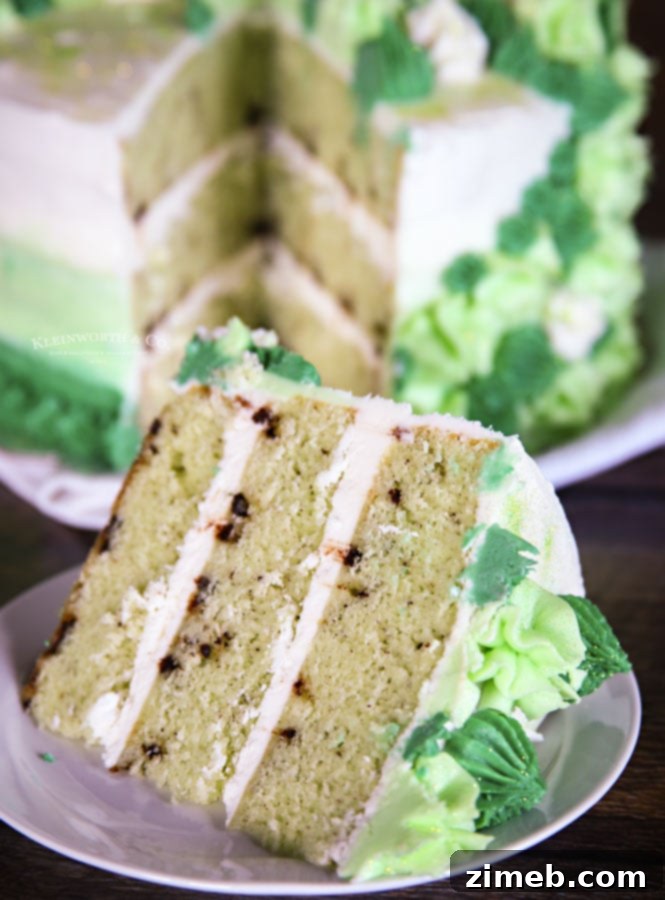 22 Stunning Mother's Day Cake Designs 8 Refreshing Mint Chocolate Chip Cake