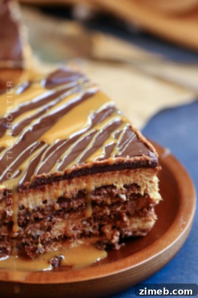 22 Stunning Mother's Day Cake Designs 9 No-Bake Argentinian Chocotorta dessert