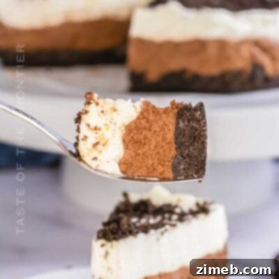 Oreo Mousse Cake