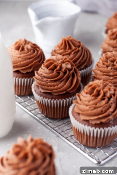 Celebrate with Cupcakes: Endless Flavors for Every Occasion 12 Decadent, moist, and rich chocolate cupcakes, easy to make and perfect for any chocolate lover.