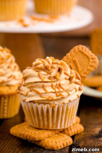 Celebrate with Cupcakes: Endless Flavors for Every Occasion 13 Spiced Biscoff cupcakes with creamy Biscoff frosting, perfect for a cozy morning.