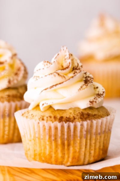 Celebrate with Cupcakes: Endless Flavors for Every Occasion 16 Tiramisu cupcakes featuring coffee-soaked cake, mascarpone frosting, and cocoa powder, perfect for elegant brunches or gift boxes.