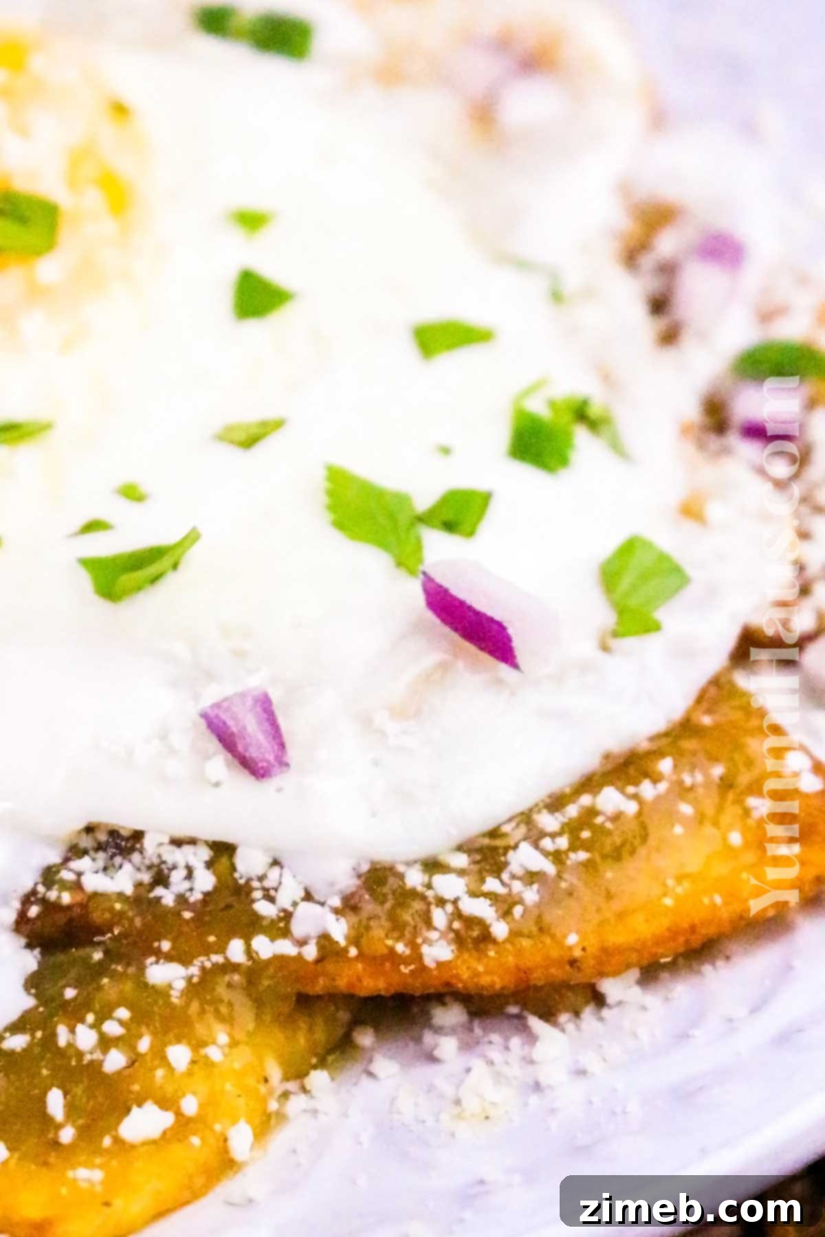 Crispy tortilla chips gently cooked in rich green salsa, forming a delicious base for Chilaquiles Verdes.