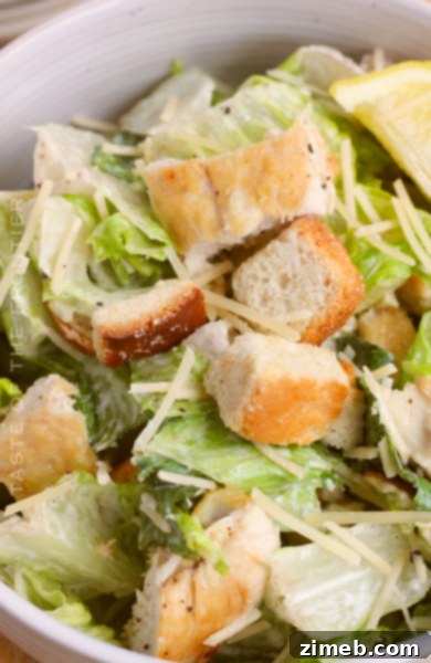 32 Delicious and Refreshing Summer Salad Recipes 32 Chicken Caesar Salad - A classic Caesar salad with grilled chicken, romaine, parmesan, and croutons.