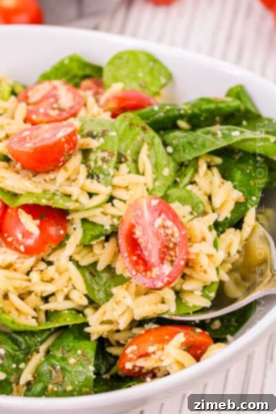 32 Delicious and Refreshing Summer Salad Recipes 6 Pesto Orzo Salad - A vibrant pasta salad with orzo, cherry tomatoes, and pesto.