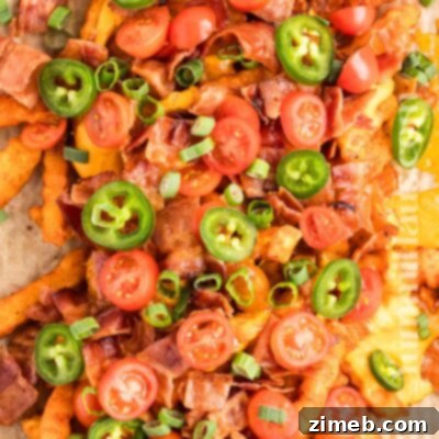 Epic Fries 16 Loaded French Fries