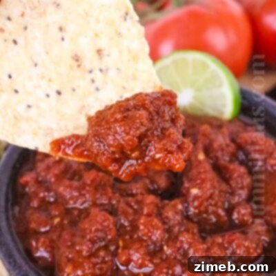 Epic Fries 9 Salsa Roja