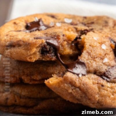 Brown Butter Chocolate Chip Cookies