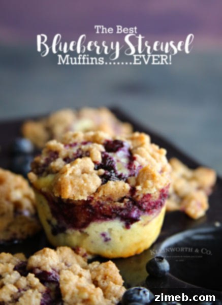 Best Blueberry Streusel Muffins