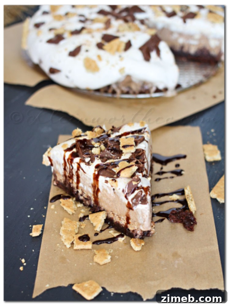 Frozen Mocha S'Mores Overload - A layered dessert with brownie, mocha ice cream, marshmallow, and chocolate