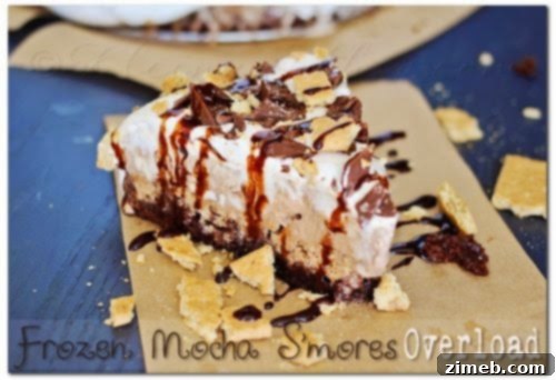 Ultimate Frozen Mocha S'Mores 4 Frozen Mocha S'Mores Overload final dessert slice