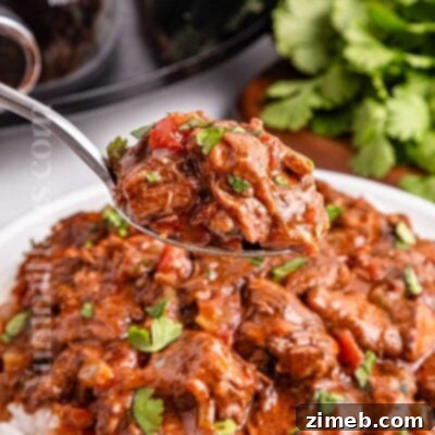 Fall-Apart Tender Slow Cooker Beef Curry 14 Slow Cooker Curry Beef