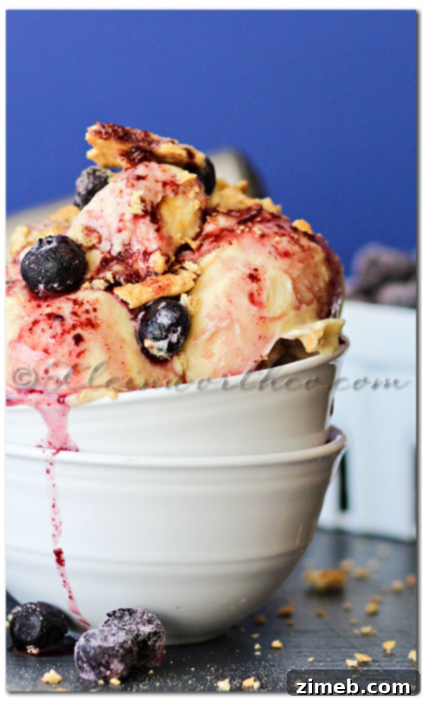 35 Refreshing Summer Frozen Treats 29 Blueberry Pie Frozen Yogurt, a creamy, fruity treat blending blueberries and vanilla with a crunch of crackers.