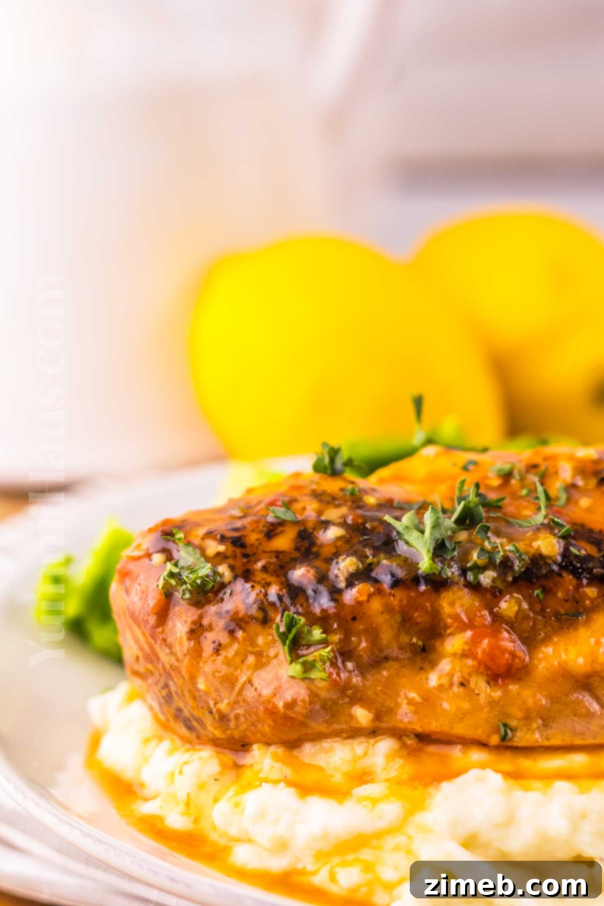 Sweet and Tart Slow Cooker Chicken 15 Close-up of Slow Cooker Chicken dinner, showing tender chicken and rich sauce.