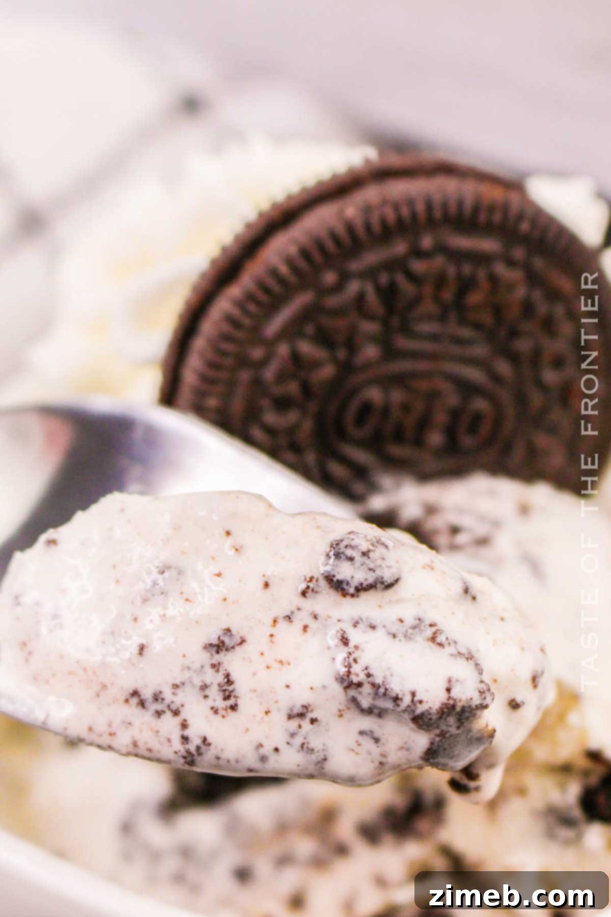 homemade Oreo ice cream