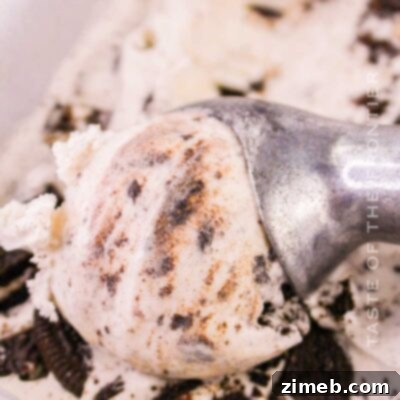 Cookies and Cream Ice Cream
