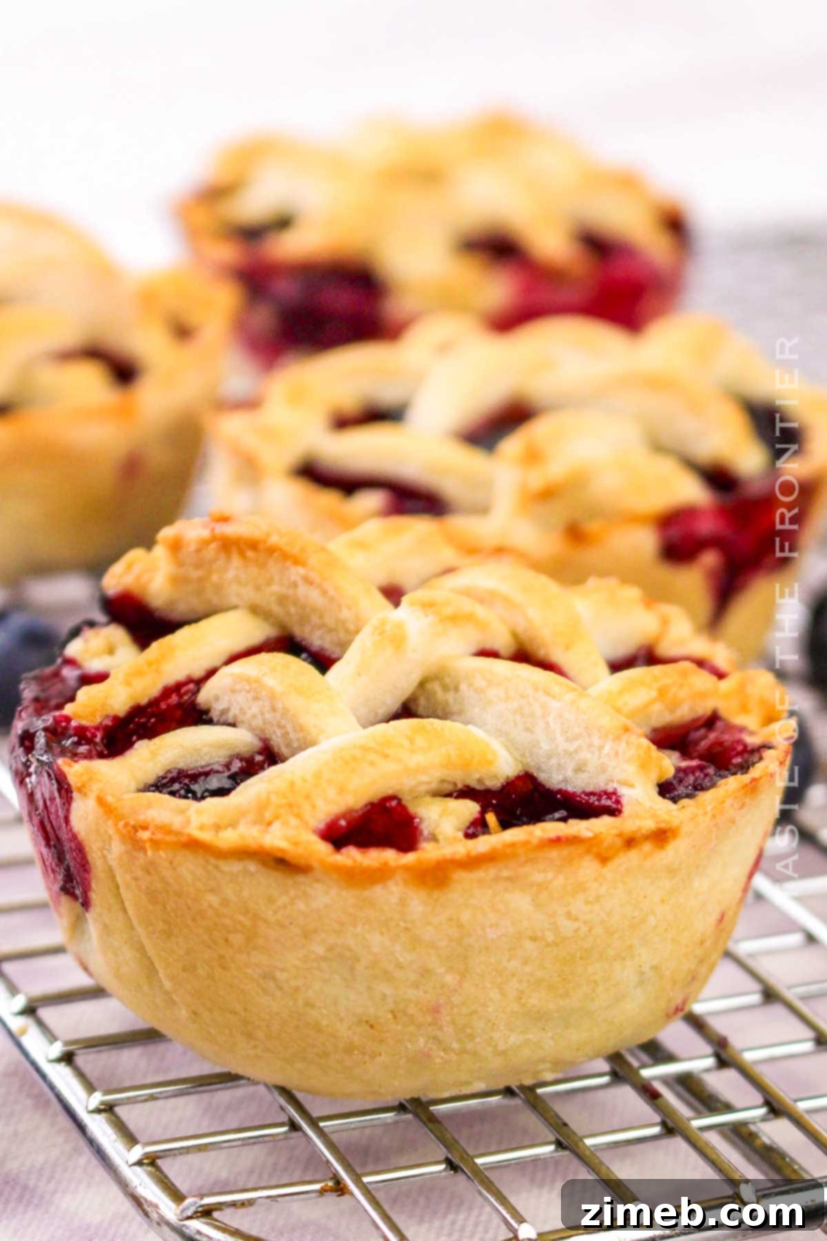 mini summer dessert