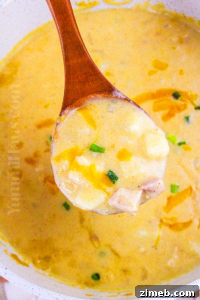 Autumn's Warm Embrace: Comforting Soups to Banish the Chill 25 Hearty Cheesy Ham and Potato Soup, loaded with tender potatoes, savory ham, and rich cheese, perfect comfort food for a chilly day.