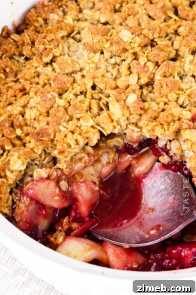 40 Autumn Apple Creations: Sweet Treats, Savory Sauces, and Hearty Breakfasts 11 Apple Blackberry Crumble